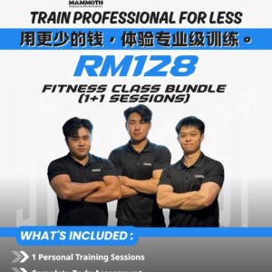 <span style="color: purple;">Mammoth Fitness |Kepong |1 on 1 coach - 1+1 Session</span>