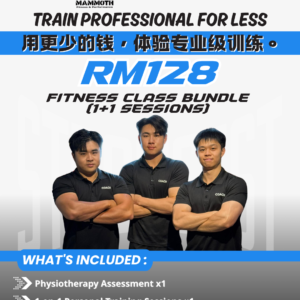 <span style="color: purple;">Mammoth Fitness |Kepong |1 on 1 coach - 1+1 Session</span>